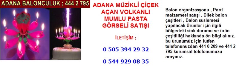 Adana müzikli çiçek açan volkanlı mumlu pasta görseli satışı firması iletişim ; 0 544 929 08 35